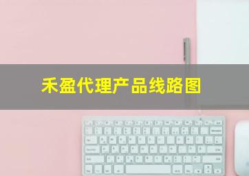 禾盈代理产品线路图