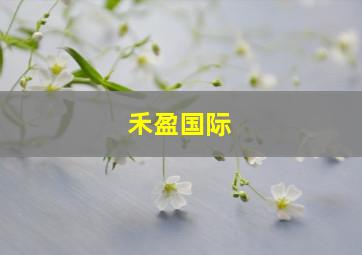 禾盈国际
