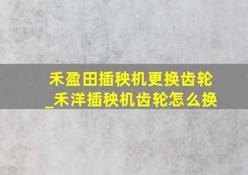 禾盈田插秧机更换齿轮_禾洋插秧机齿轮怎么换